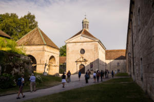 IMG 7825 (2)