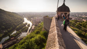 IMG 7847 (1)