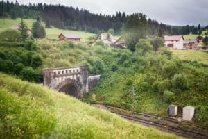 IMG 8186 (1)