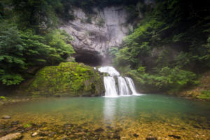 IMG 8392 (1)