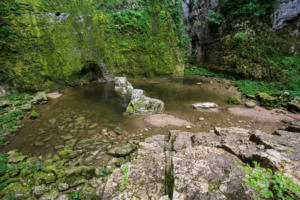 IMG 8409 (1)