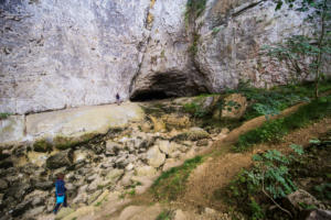 IMG 8445 (1)