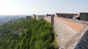 P1050079 (2)